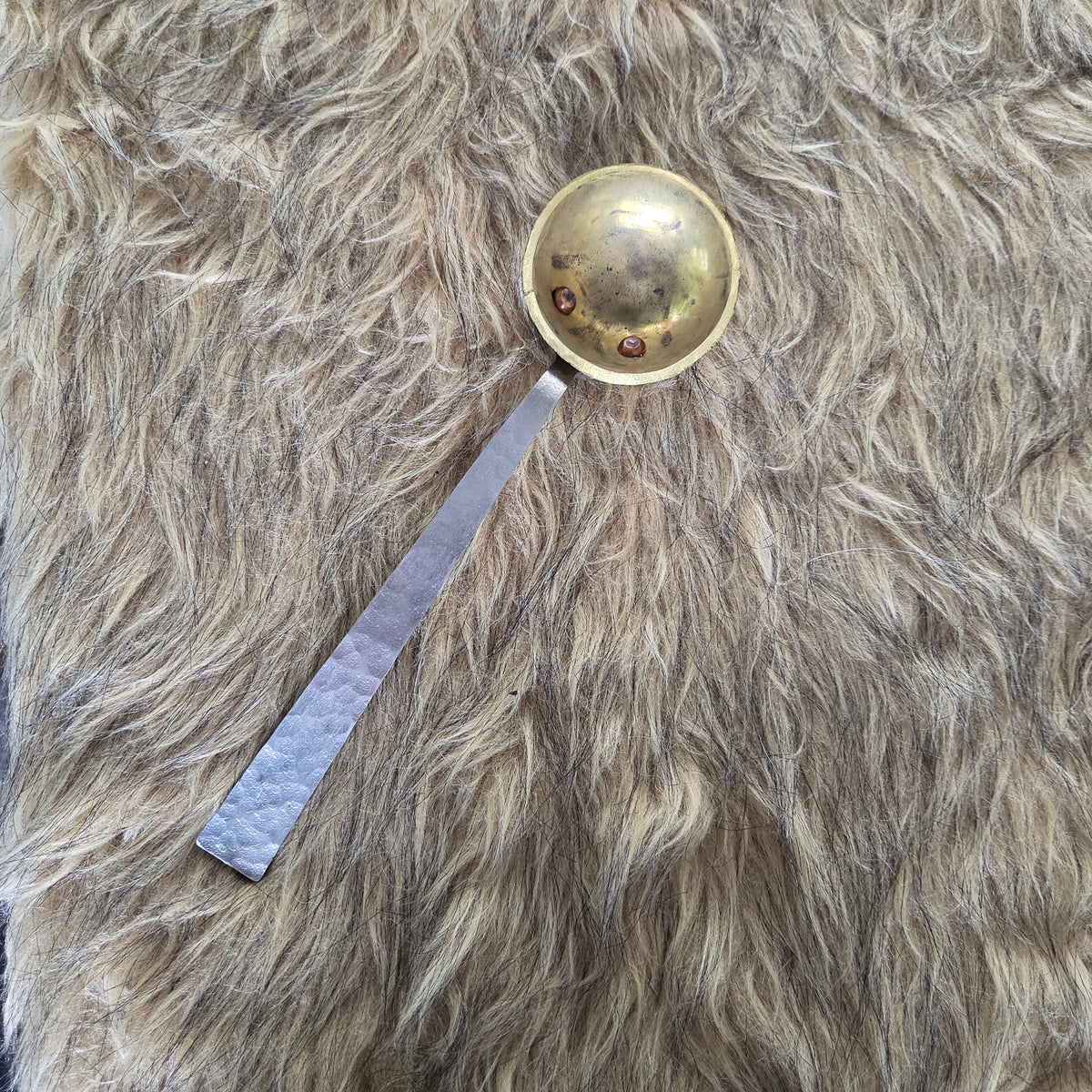 Coffee Scoop